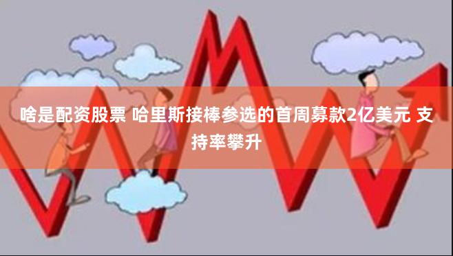 啥是配资股票 哈里斯接棒参选的首周募款2亿美元 支持率攀升