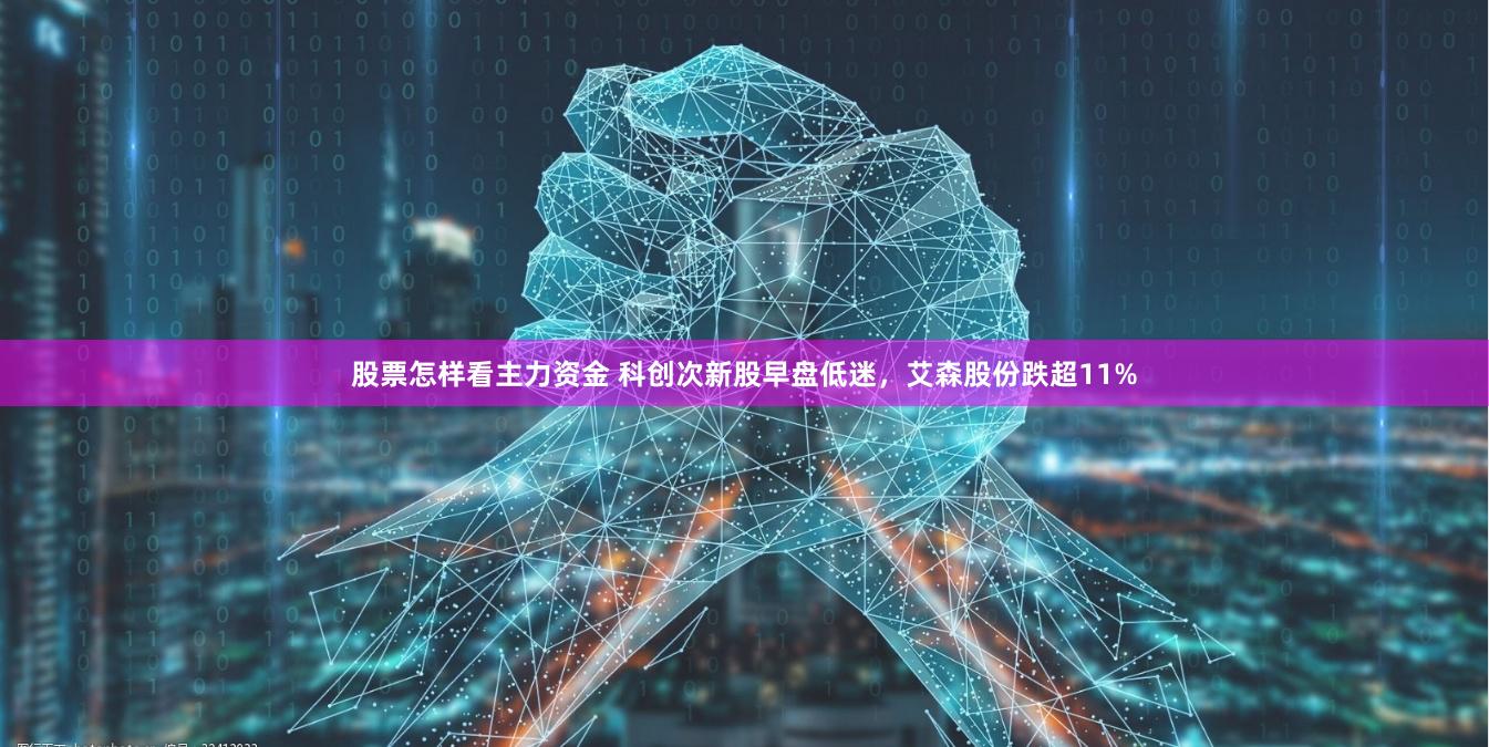 股票怎样看主力资金 科创次新股早盘低迷，艾森股份跌超11%