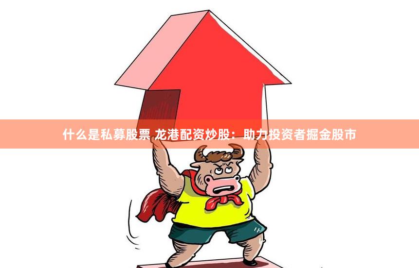 什么是私募股票 龙港配资炒股：助力投资者掘金股市